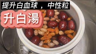 不打針就能增加白血球の升白汤食疗汇总，化療期間這樣吃順利渡過難關｜五红汤｜牛尾汤｜鹧鸪汤