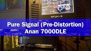 Pure Signal (Pre-Distortion) Setup on an Anan 7000DLE Mk3 | How to connect Pure Signal | RF2K-S Amp