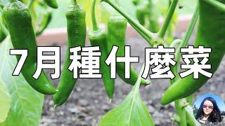 7月种什么蔬菜, 这几类耐热菜千万别错过, 一直采收到深秋, 7月育菜苗