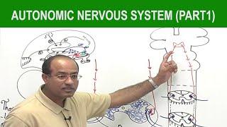 Autonomic Nervous System  | Neurology | Neuroanatomy | Part 1