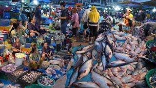 Early Morning Fish Market in Cambodia - Plenty Alive Fish, Seafood, Dry Fish & More in Fish Market