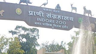 indore zoo tour vlog | chidiya ghar | indore zoo snake house | indore zoo bird house | White Tiger