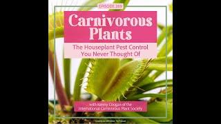 How to grow carnivorous plants indoors?