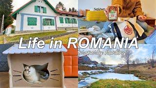 *Property Hunting* in Romania, A day in a Life of a Freelancer, ASMR Silent Vlog