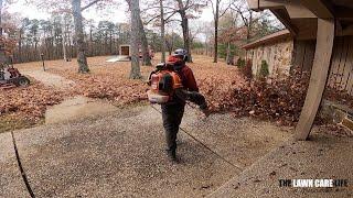 THESE 3 Pieces of EQUIPMENT Make Me MONEY Doing Leaf Cleanups (SOLO) in Mowssouri!