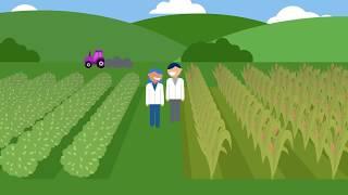 Agricultural Sector Research Efforts