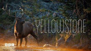 Yellowstone (Documentary) | BBC Select