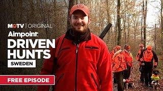 Driven Hunts Sweden | Free Episode | MyOutdoorTV