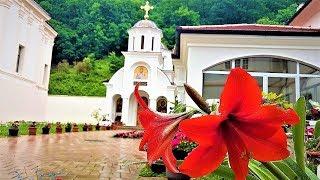 Exploring MONASTERIES and THE HOLY MOUNTAIN Fruska Gora | vojvodina, serbia | ENJOY WATCH