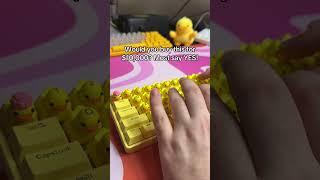 the BEST budget keyboard that... QUACKS!?