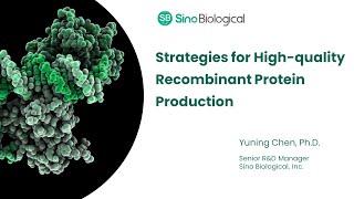 Strategies for High-quality Recombinant Protein Production