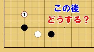 【囲碁講座】ハサミに両ガカリされたら？詳しく解説します！【定石・解体新書シリーズ】