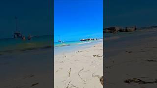 Lazy Summer Day in #fortdesoto #travel #usa #beachvibes #beach #summer