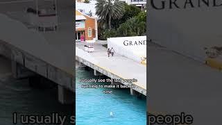 What would you do?  #shorts #cruise