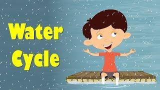 Water Cycle | #aumsum #kids #science #education #children