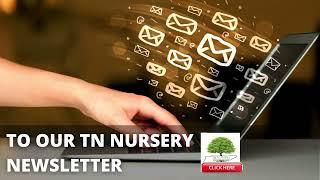 TN Nursery | Free Plants, Sales Offers, Subscribe Today