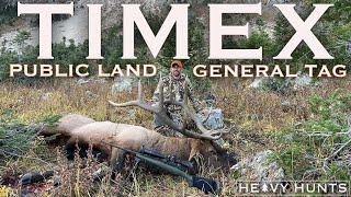 WYOMING BULL DOWN! | 4K | PUBLIC LAND ELK HUNT | GENERAL TAG | BOW & RIFLE |