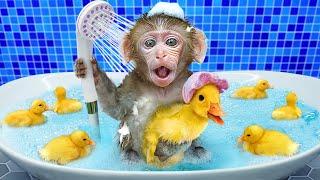 KiKi Monkey bath with Duckling in Bubble Bathtub and eat colorful ice cream | KUDO ANIMAL KIKI