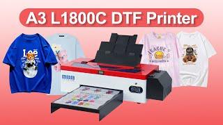 Colorsun A3 L1800C Dtf Printer T Shirt printing Machine DTF roll printing machine with pet film oven