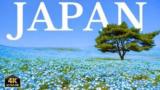 Japan 4K - Scenic Relaxation Film With Calming Music