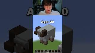 Minecraft Sheep Pixel Arts at Ages 