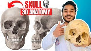 skull anatomy 3d | anatomy of skull bone anatomy | facial and cranial bones of skull