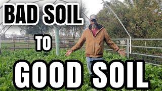 How to Transform Your Soil and Grow Amazing Food in 4 Steps!