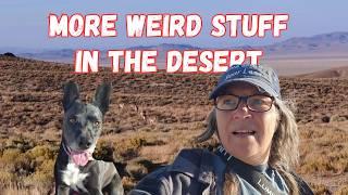 Ornery Pronghorn! Plus more Mystery and Beauty, RV Boondocking in Tonopah Nevada