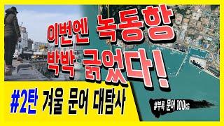 겨울 문어낚시 녹동항 직벽 박박 긁고 왔습니다!/인간 포크레인/갑오징어낚시 명당 포인트 소개/왕눈이에기의 치명적인 단점/OctopusFishing/디오디오에기,dodo에기,도도에기