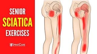 EASY Sciatica Pain Relief Exercises for Seniors