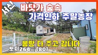 [물건번호2878]서산시 지곡면 "바닷가 가까운 숲속 ㅅ 손해보고 파는 농막 가격인하 급매 " 합니다. 몽땅 다 주고 갑니다,  싱싱한 수산물 가득한 항구까지 16km 거리 입니다