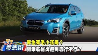 你也有毛小孩嗎？ 開車載寵出遊到底行不行？《夢想街57號 預約你的夢想》2019.09.23