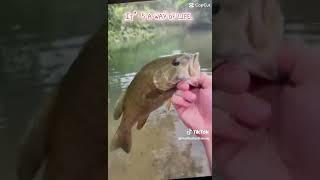cage rage Outdoors fishing