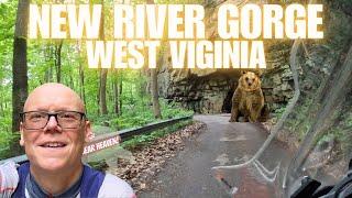 ️ Amazing Motorcycle Riding and Camping in West Virginia! (TDT EP 14) ️ #motocamping