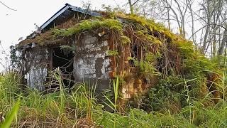 Three Men Clean 70-Year-Old Buried House and Give It a Second Life for Free | by @Cleantheoldhouse