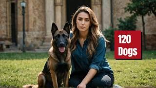 I'M Living With A HIGH ENERGY Belgian Malinois! | Dog Training | Malinois