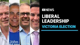 Vic Liberal Party leader contenders emerge as Andrews government goes back to work | ABC News