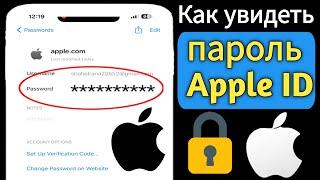 Как посмотреть пароль Apple ID на iPhone 2024 г | Как посмотреть пароль Apple ID, если вы его забыли