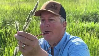 Got hay? Colorado ranch broker Gary Hubbell explains Colorado grass species for hay production