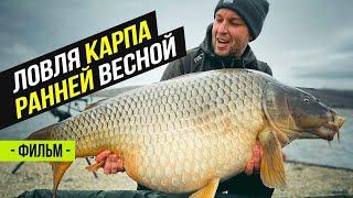 Карпфишинг. Поймали Карпа на 21 кг! Просянка. Водоём Разлив. Часть 1.