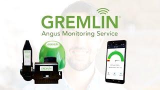 GREMLIN® Tank Monitor Consumer Commercial