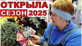 Какие культуры цветов и овощей буду сеять в январе? Сезон посева на 2025 год открыла