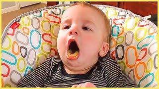 Funny Baby Love Food: Baby Eating Compilation || 5-Minute Fails