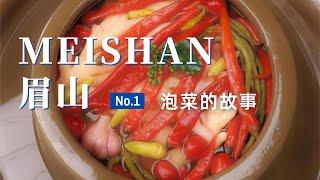 【眉山旅行】走访眉山传统泡菜厂 在中国泡菜城揭秘泡菜历史 打脸韩国起源说 | 走遍中国旅行vlog
