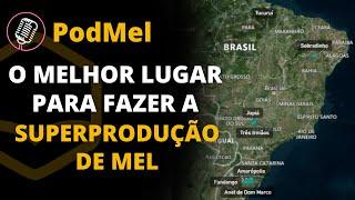 PODMEL #29 - A Melhor Região do Brasil para a Superprodução de Mel