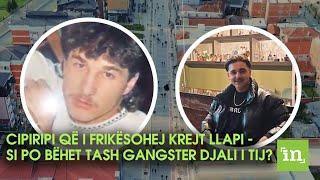 Cipiripi që i frikësohej krejt Llapi - Si po bëhet tash gangster djali i tij?