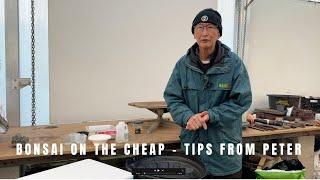 Bonsai on the cheap - tips from Peter