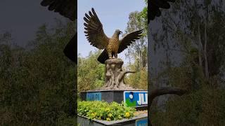 Chattbir zoo chandigarh zoo vlog | chhatbir zoo chandigarh tourist places punjab zoo places to visit