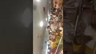 त्रंबकेश्वर महादेव दर्शन लाइव/ from Shiv kirpa Poonam Gupta bhajan  is live!