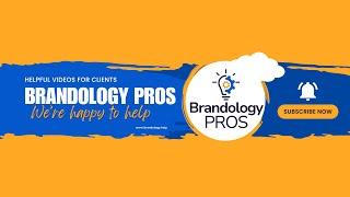 GoDaddy Developer Access - Brandology Pros